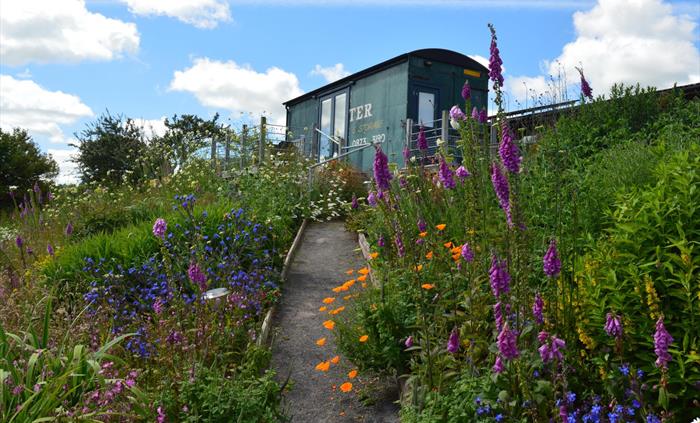 Gorgeous gardens by Jeni Arnold